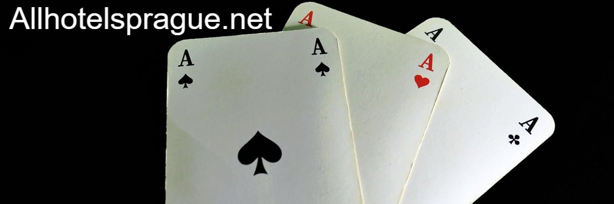 allhotelsprague.net
